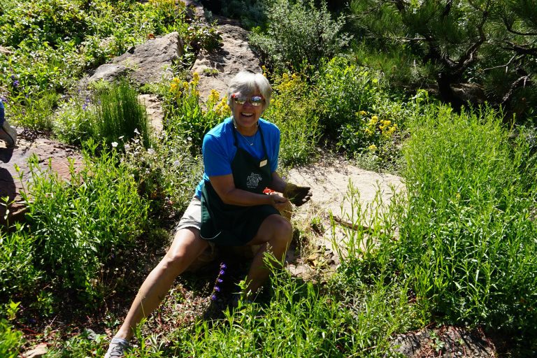Volunteer tending plants - Betty Ford Alpine Gardens