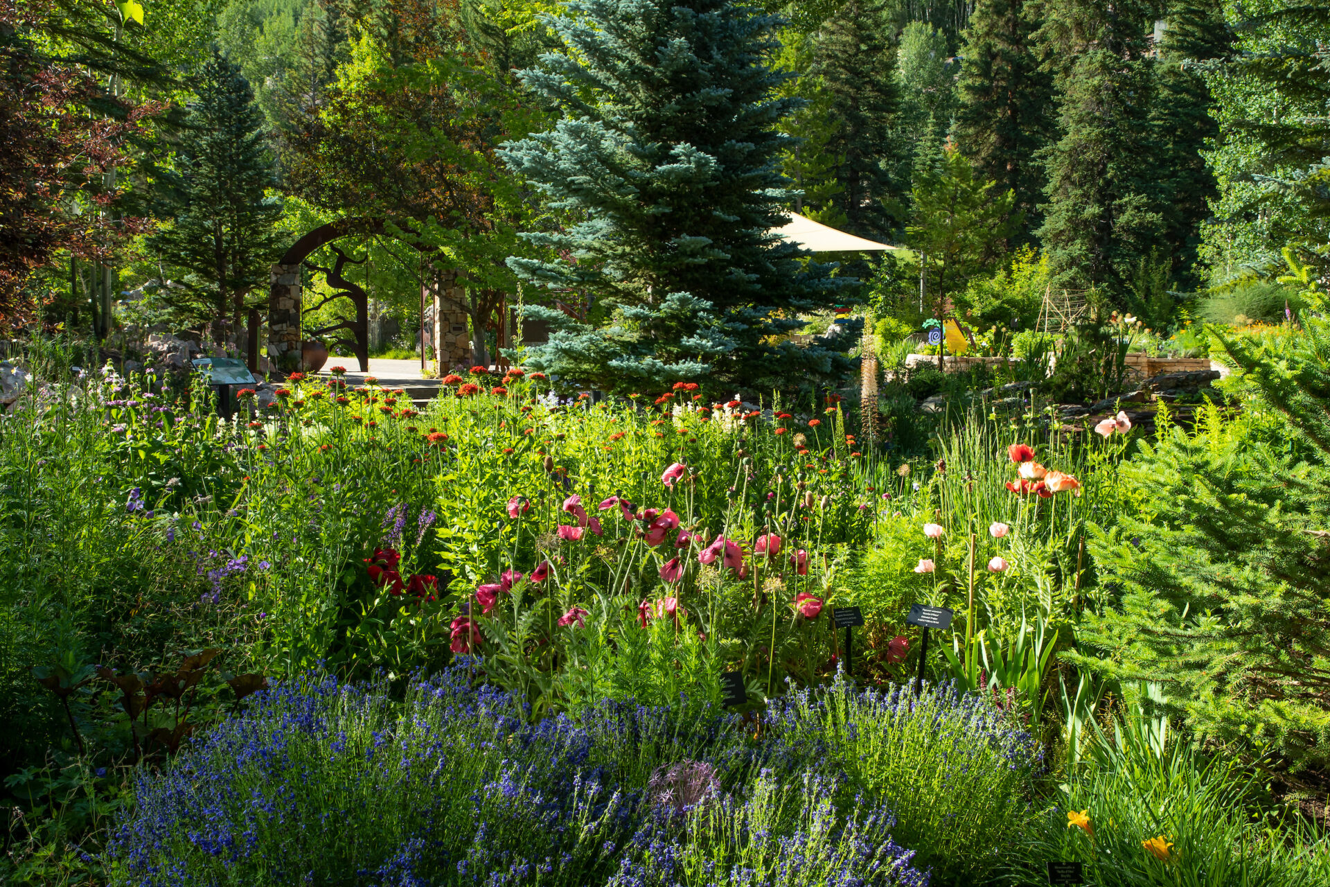 July in the Betty Ford Alpine Gardens