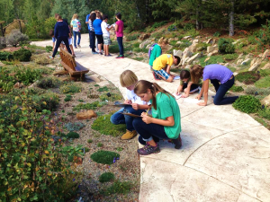 Children's Scavenger Hunt at Betty Ford Alpine Gardens
