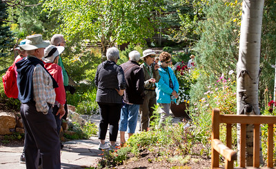Garden Tour at Betty Ford Alpine Gardens