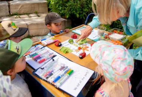 Children Activities - Betty Ford Alpine Gardens