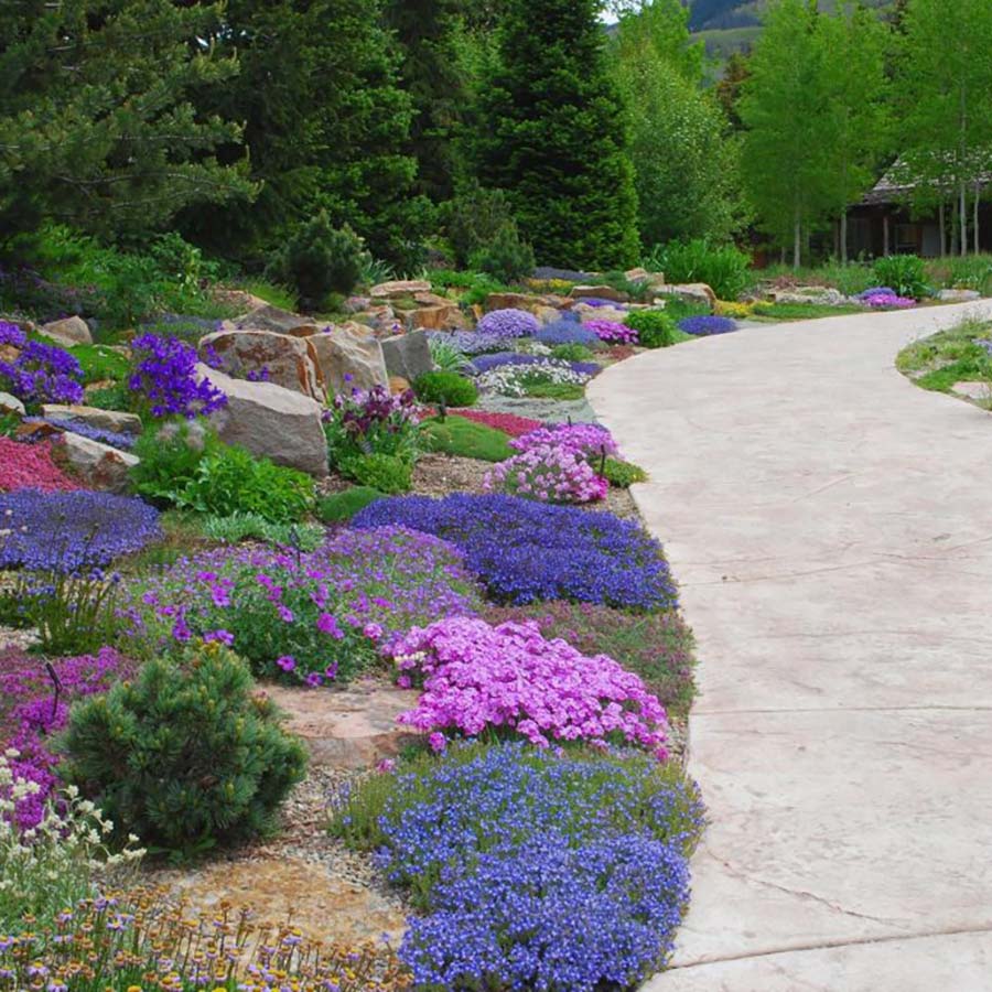 Crevice Garden - Betty Ford Alpine Gardens