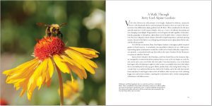 On the Roof of the Rocky Mountains Book Spread - Betty Ford Alpine Gardens