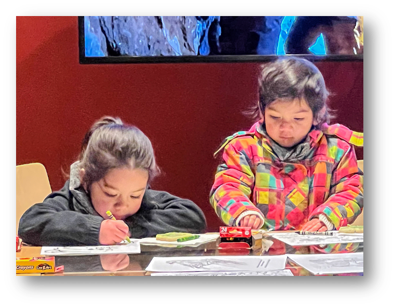 Family Tabletop Activities - Betty Ford Alpine Gardens