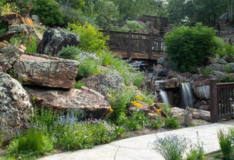 Waterfall Among Flowers at Betty Ford Alpines Garden