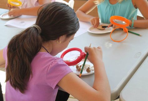 Children's Learning Activities - Betty Ford Alpine Gardens