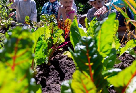 Children's Garden Tour at Betty Ford Alpine Gardens