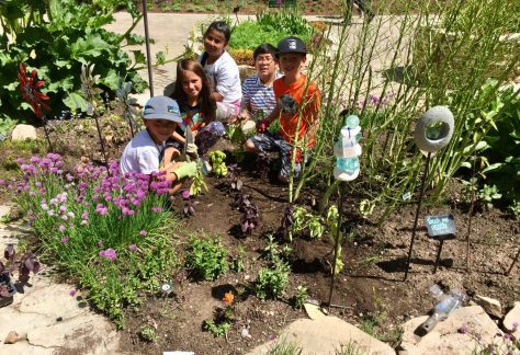 Children in the Betty Ford Alpine Gardens