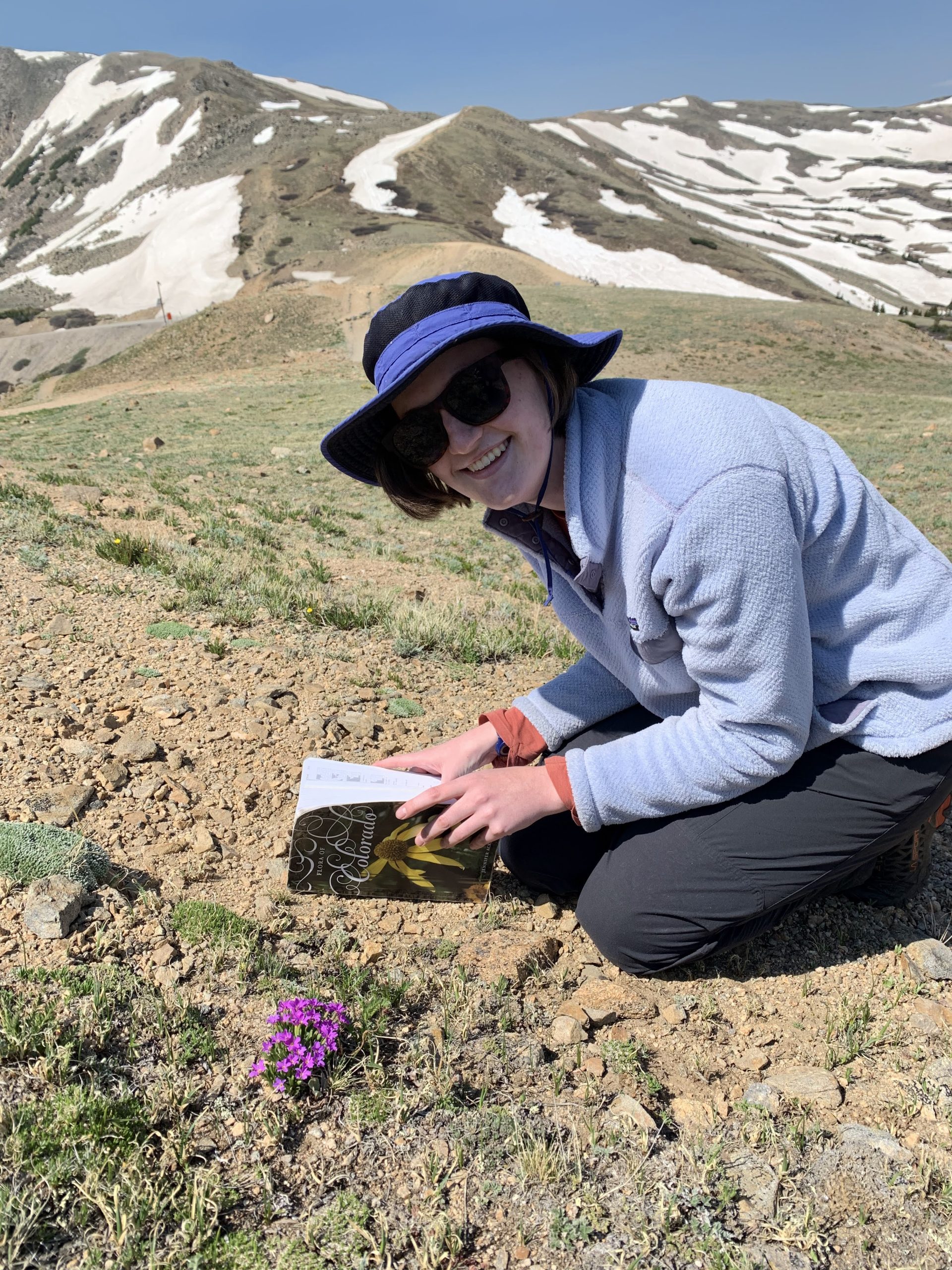 Plant Identification in the Field - Betty Ford Alpine Gardens