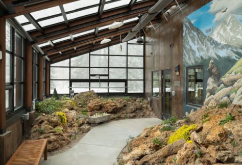 Inside the Alpine House at Betty Ford Alpine Gardens