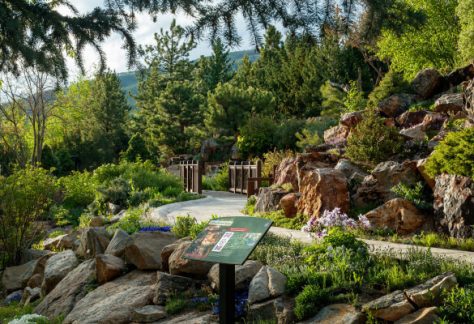 Pathways & Signage in Betty Ford Alpine Gardens
