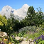 Panorama with Hochblasen and Alpspitz, Schachen - Betty Ford Alpine Gardens