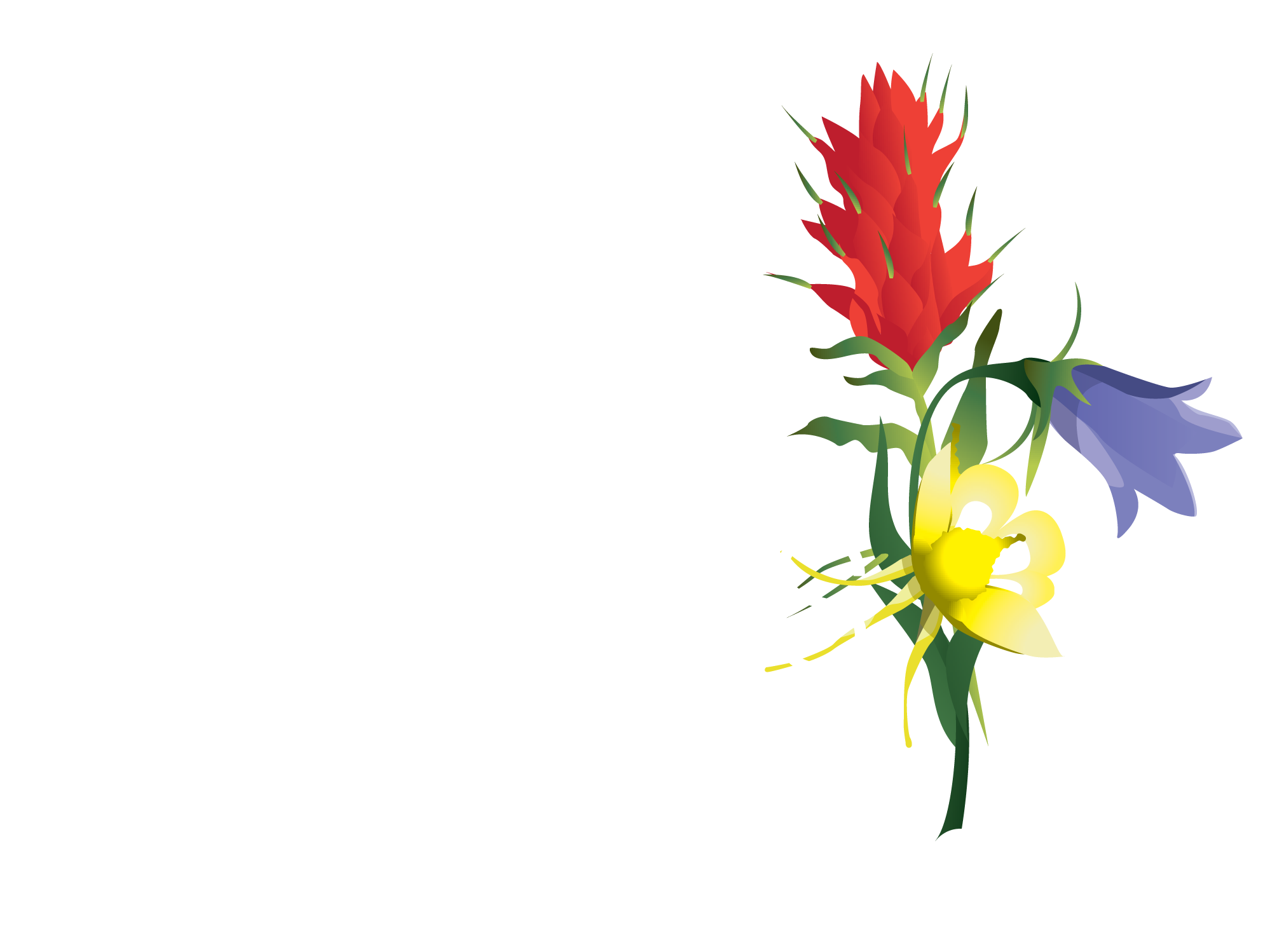 Betty Ford Alpine Gardens