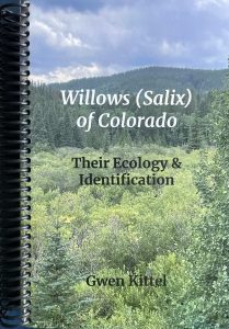 Book cover of Willows of Colorado