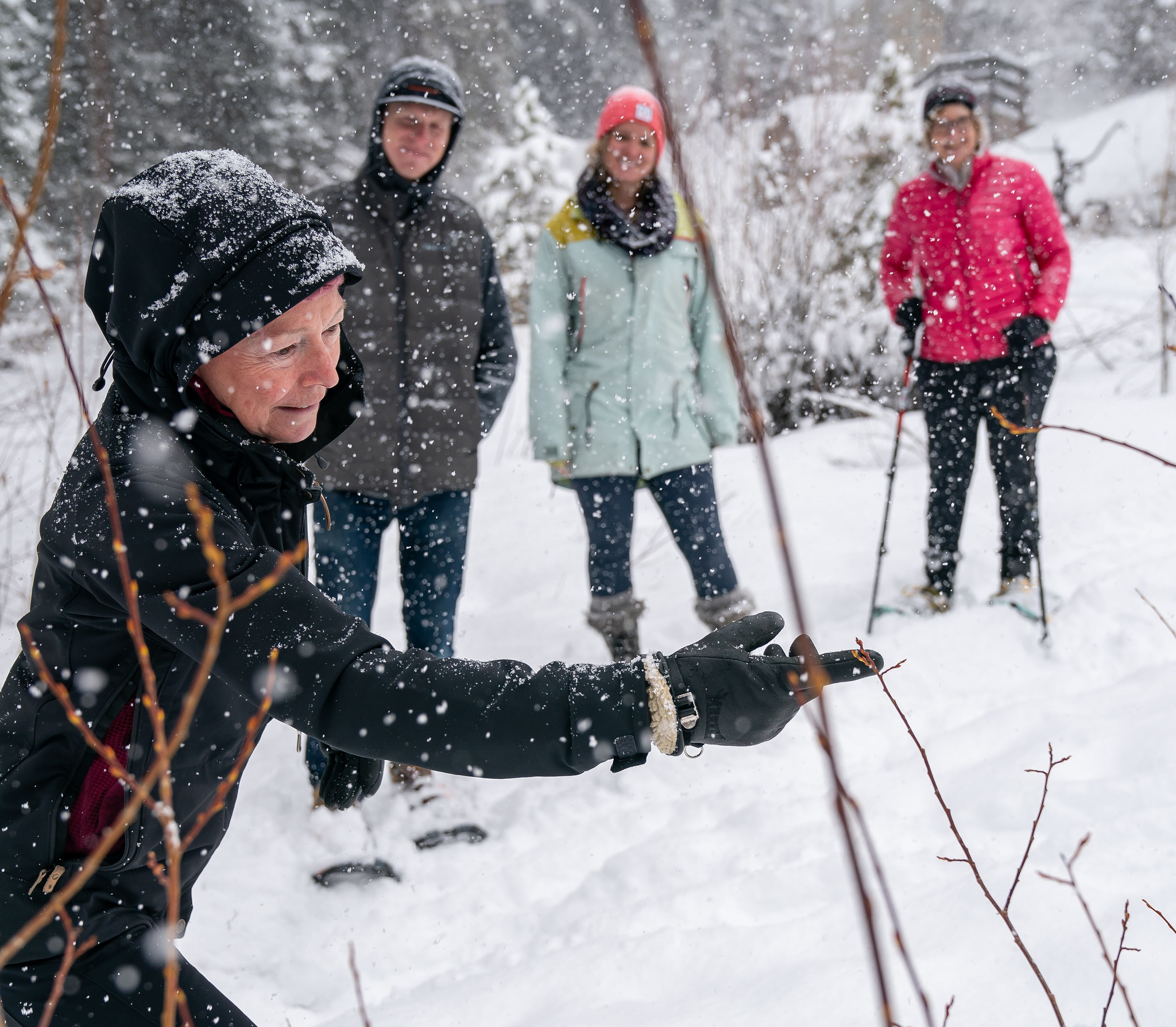 Educational Snowshoe Tour