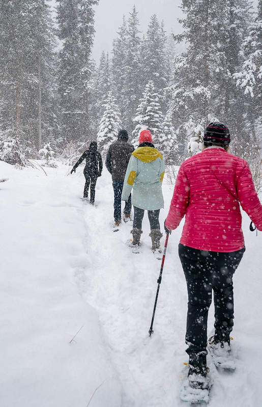 Group snowshoe in Ford Park