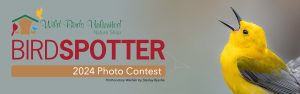 project feed watch birds potter photo contest