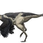 Citipati_Z Chuang feathered dinosaur