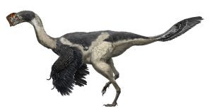 Citipati_Z Chuang feathered dinosaur