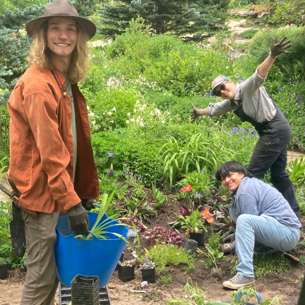 Planting Bijou's Garden