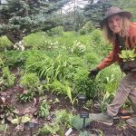 Tate planting Bijou's garden