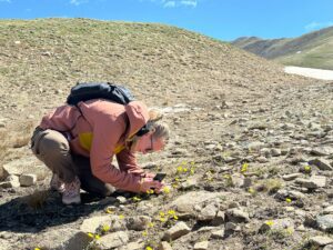 Colorado Ecoflora Project_Conservation Intern