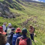 Colorado Alpine Ecoflora Project Hike Guided Image