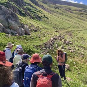 Colorado Alpine Ecoflora Project Hike Guided Image