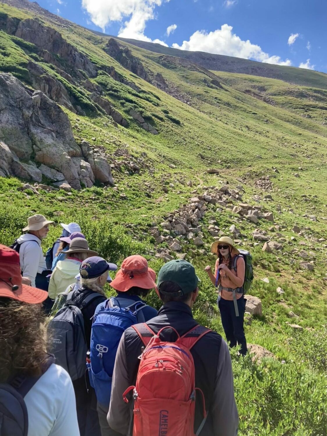 Colorado Alpine Ecoflora Project Hike Guided Image