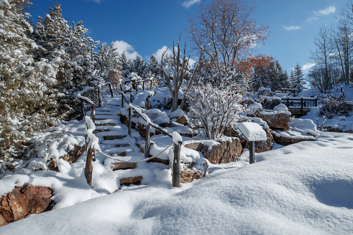 Snow in the Gardens