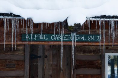 wintery cabin photo