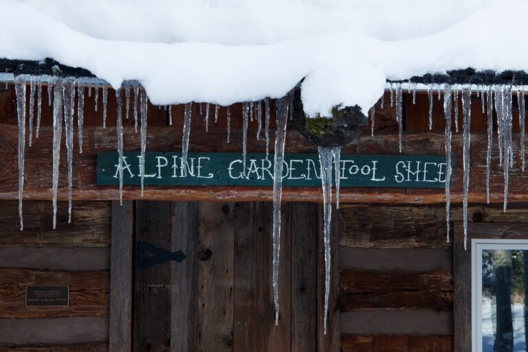 wintery cabin photo