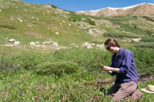 Conservationist in the field