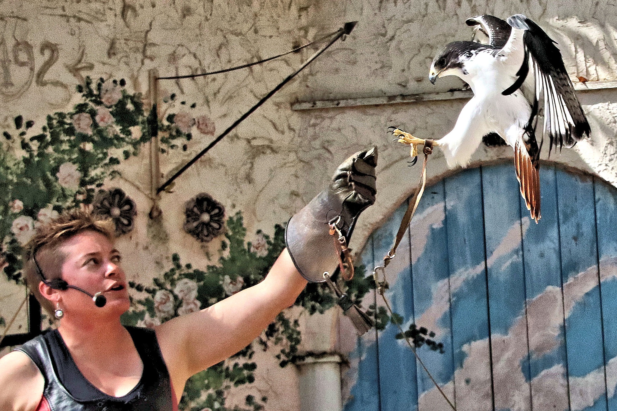 a bird flying out of a persons hand