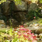 Garden with pink flowers and a waterfall