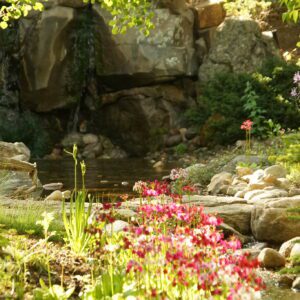 Garden with pink flowers and a waterfall