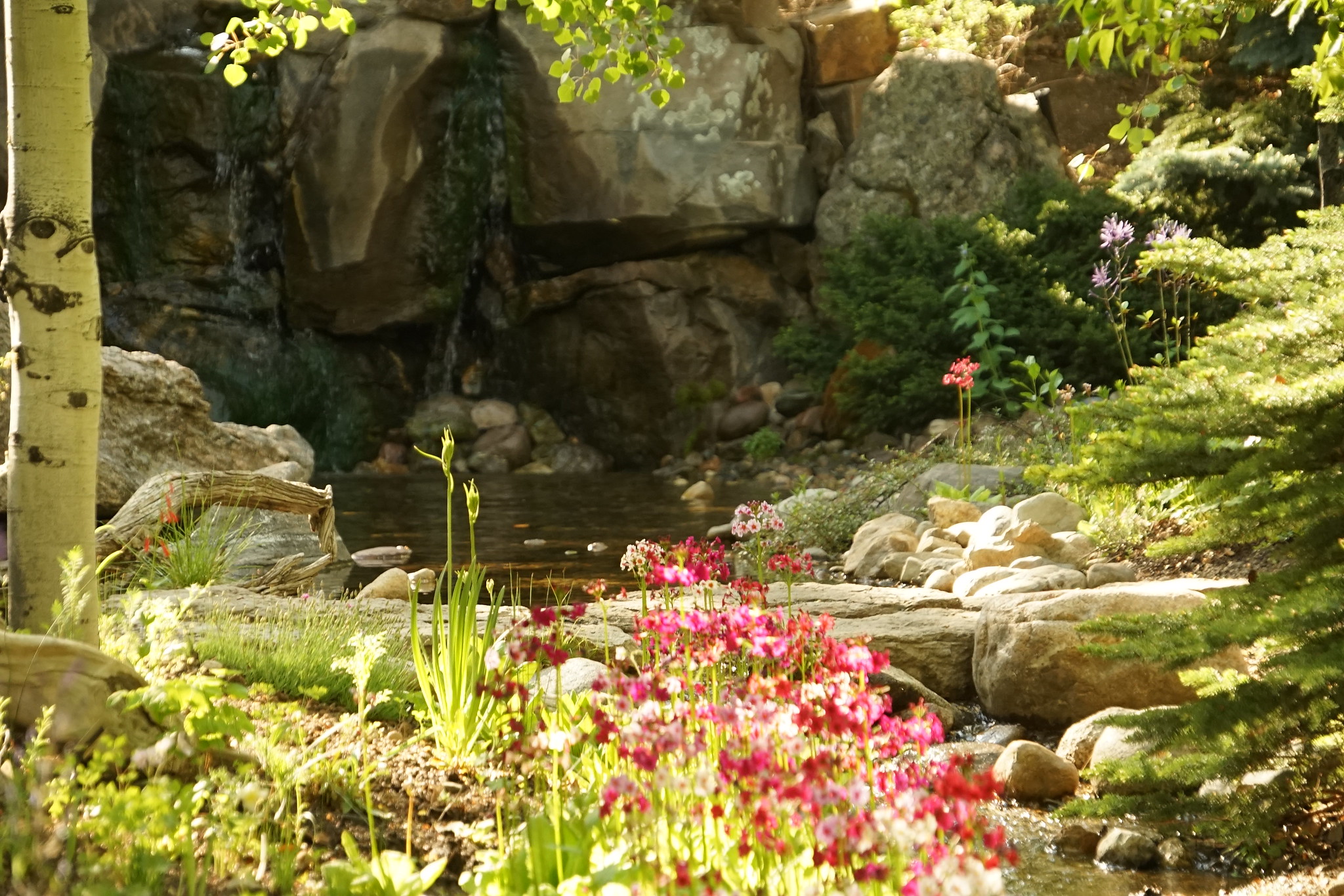 Garden with pink flowers and a waterfall