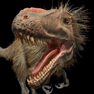 feathered dinosaur feathered dinosaur roaring