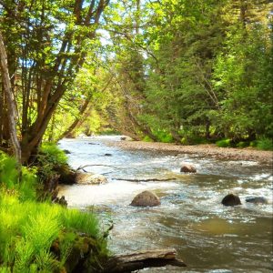 H2O = Life – Betty Ford Alpine Gardens H2O = Life - Betty Ford Alpine Gardens